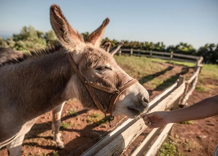 Lodge - Cantinho Do Paraiso *