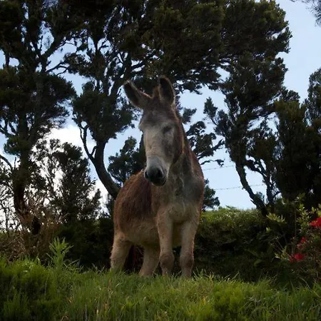 Деревянный коттедж - Cantinho Do Paraiso Santo Espirito
