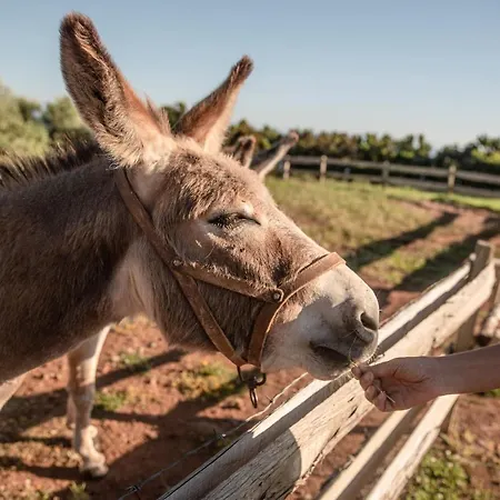 Деревянный коттедж - Cantinho Do Paraiso *