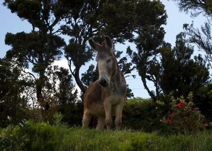 Lodge - Cantinho Do Paraiso Santo Espirito
